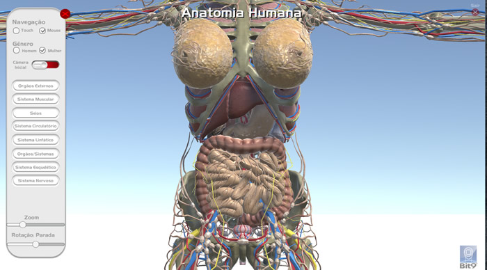 BitAnatomy: Anatomia
 com visualização interativa