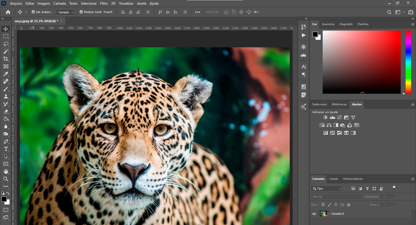 abrir-imagem-onca-photoshop-eng-dtp-multimidia