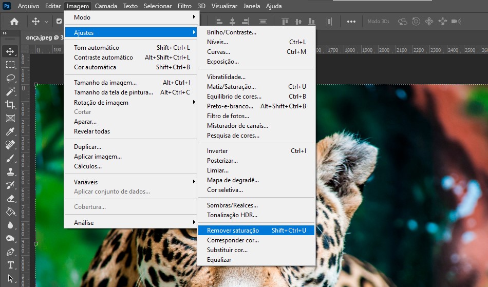 remover-saturacao-da-onca-eng-dtp-multimidia