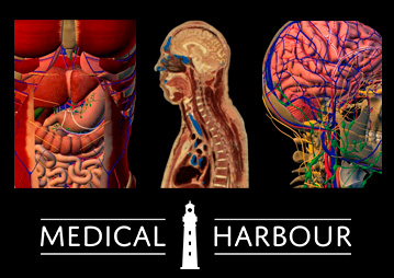 Medical Harbour e ENG DTP & Multimídia.
